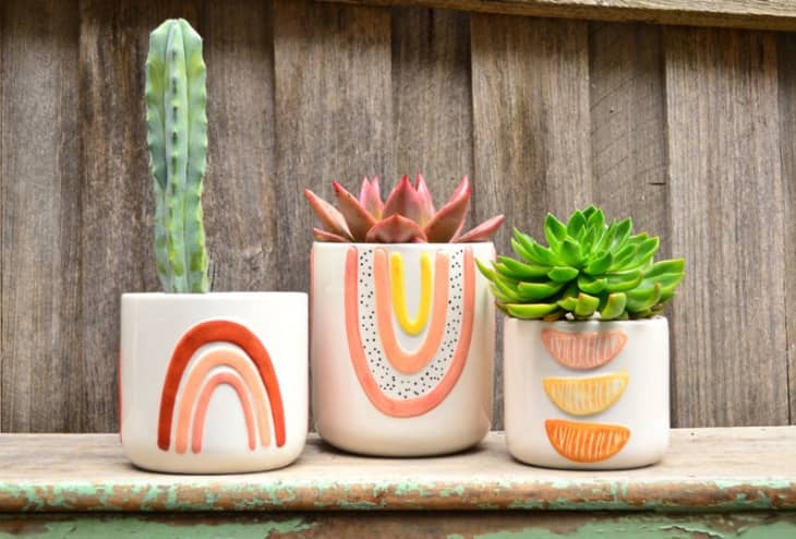 8 Cheerful, Colorful Planters to Brighten Your Space | Apartment